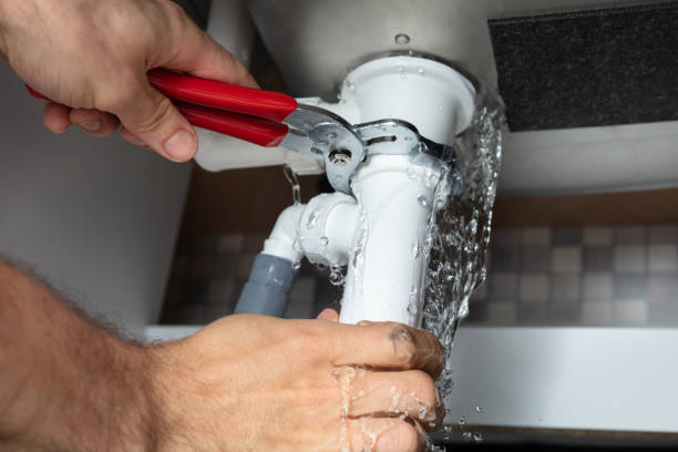 Best Mold removal after water damage  in Holladay, UT