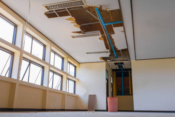 Best Flood damage cleanup  in Holladay, UT
