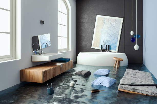 Best 24/7 water damage repair  in Holladay, UT