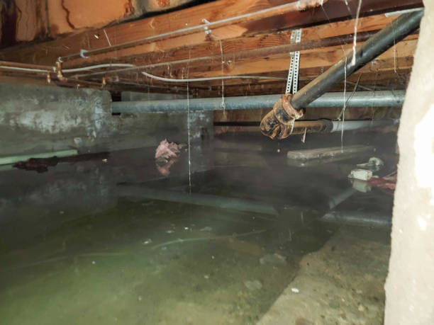 Best Water damage restoration near me  in Holladay, UT