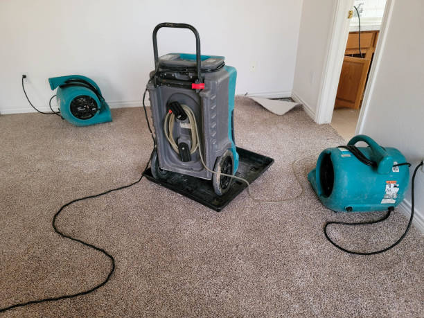 Best Water damage contractors near me  in Holladay, UT
