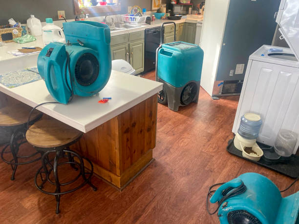 Best Basement water damage restoration  in Holladay, UT