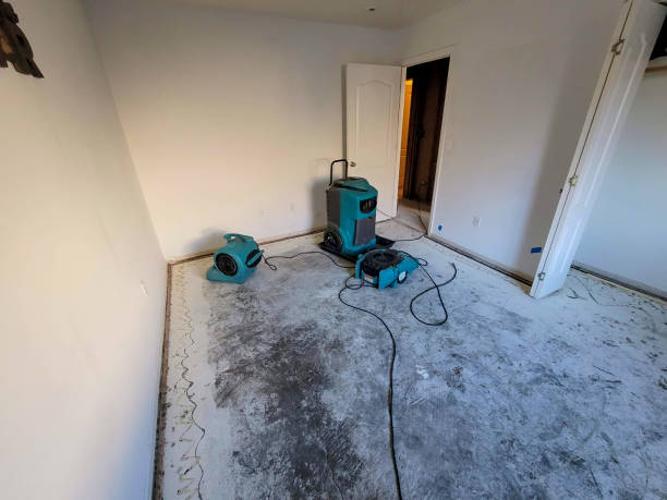 Best Water damage restoration process  in Holladay, UT