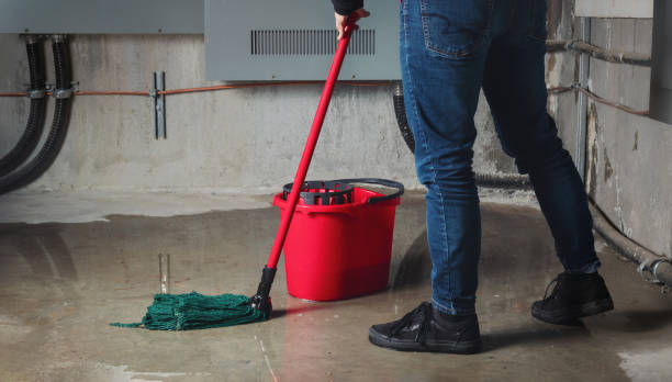 Best Water damage cleanup near me  in Holladay, UT