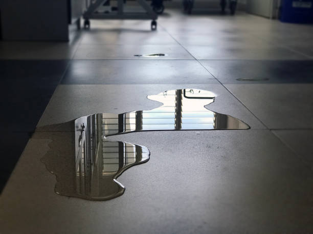 Best Carpet water damage restoration  in Holladay, UT