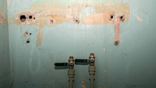Best Flood restoration services  in Holladay, UT