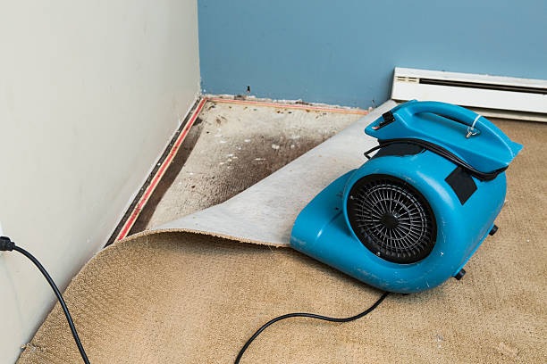 Water damage restoration process in Holladay, UT